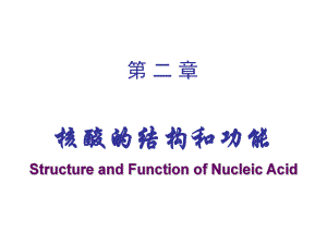 核酸的结构和功能