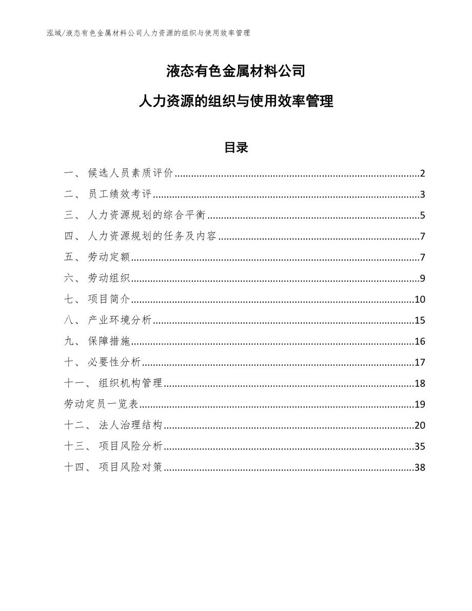 液态有色金属材料公司人力资源的组织与使用效率管理【参考】_第1页