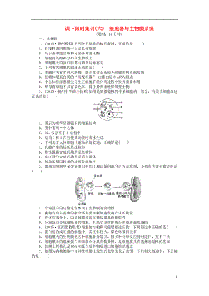2016屆高三生物一輪復習 第二單元 第2講 細胞器與生物膜系統(tǒng)課下限時集訓 新人教版必修1