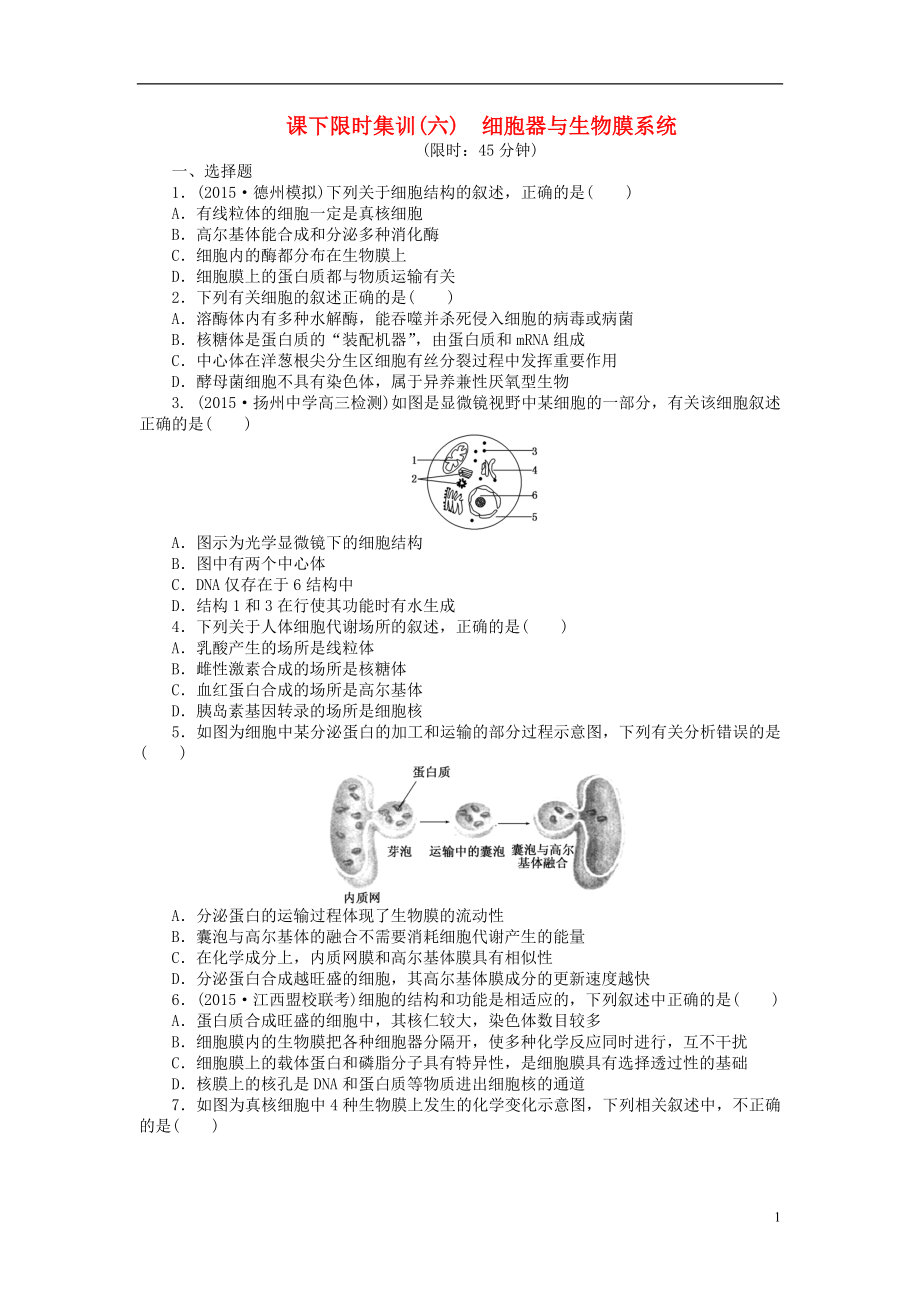 2016屆高三生物一輪復習 第二單元 第2講 細胞器與生物膜系統(tǒng)課下限時集訓 新人教版必修1_第1頁