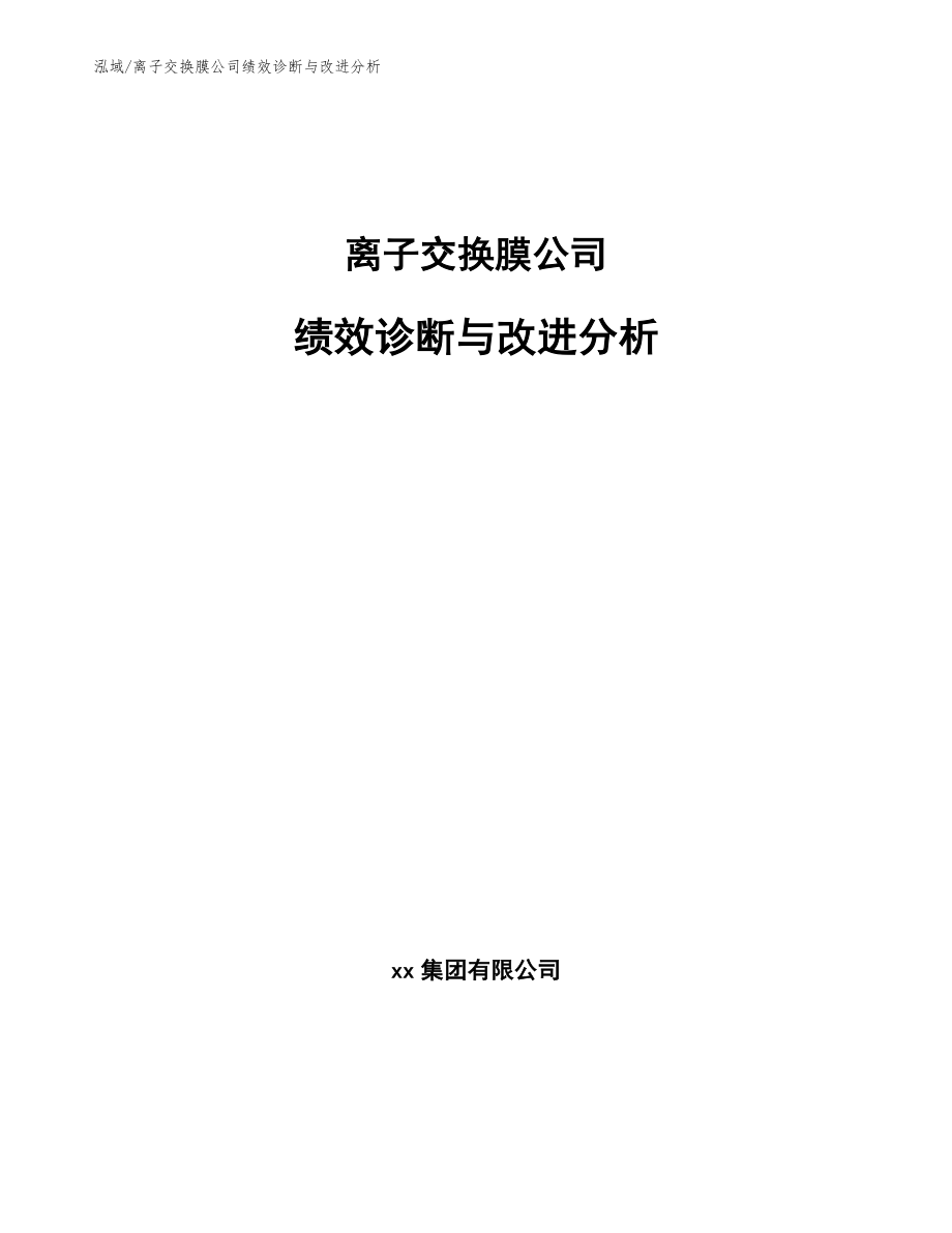 离子交换膜公司绩效诊断与改进分析【参考】_第1页