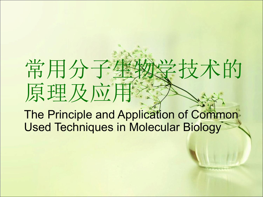 常用分子生物学技术的原理及应用76_第1页