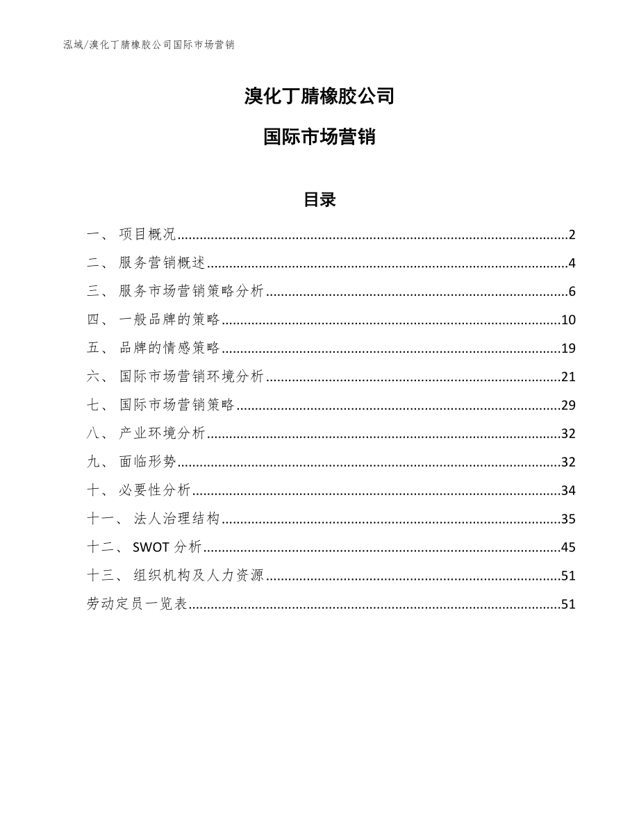 溴化丁腈橡胶公司国际市场营销_第1页