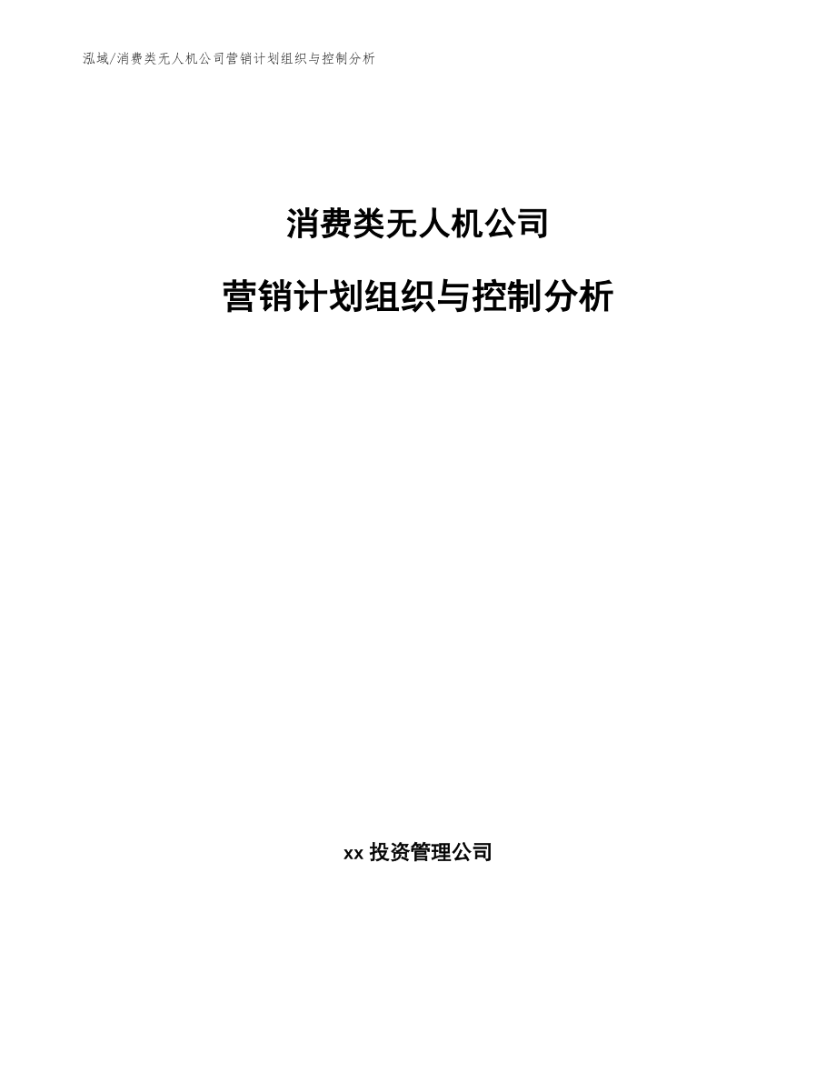 消费类无人机公司营销计划组织与控制分析_参考_第1页