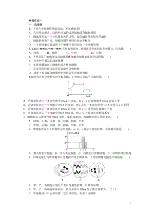 階段質(zhì)量檢測(cè)(五) 細(xì)胞的生命歷程