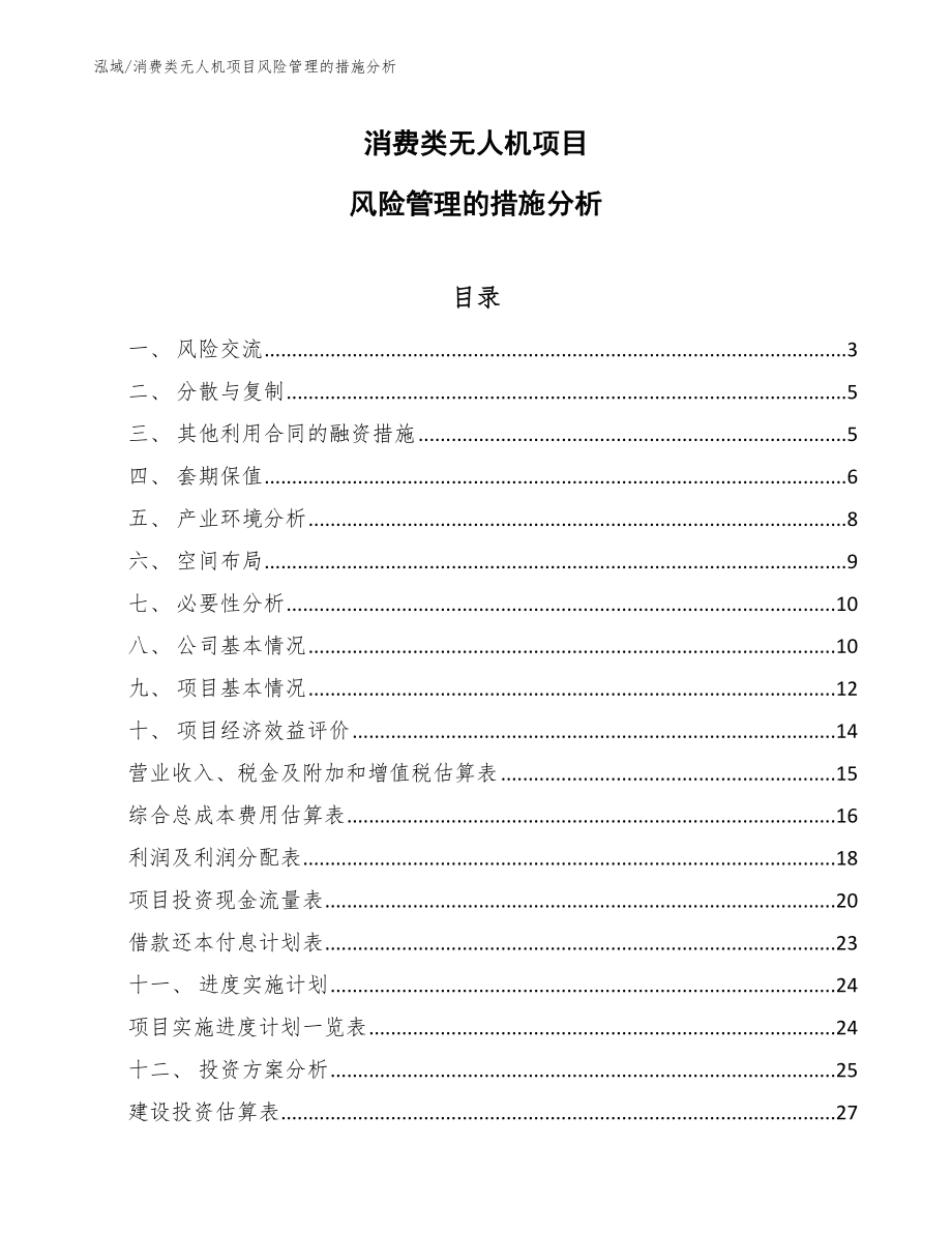 消费类无人机项目风险管理的措施分析【参考】_第1页