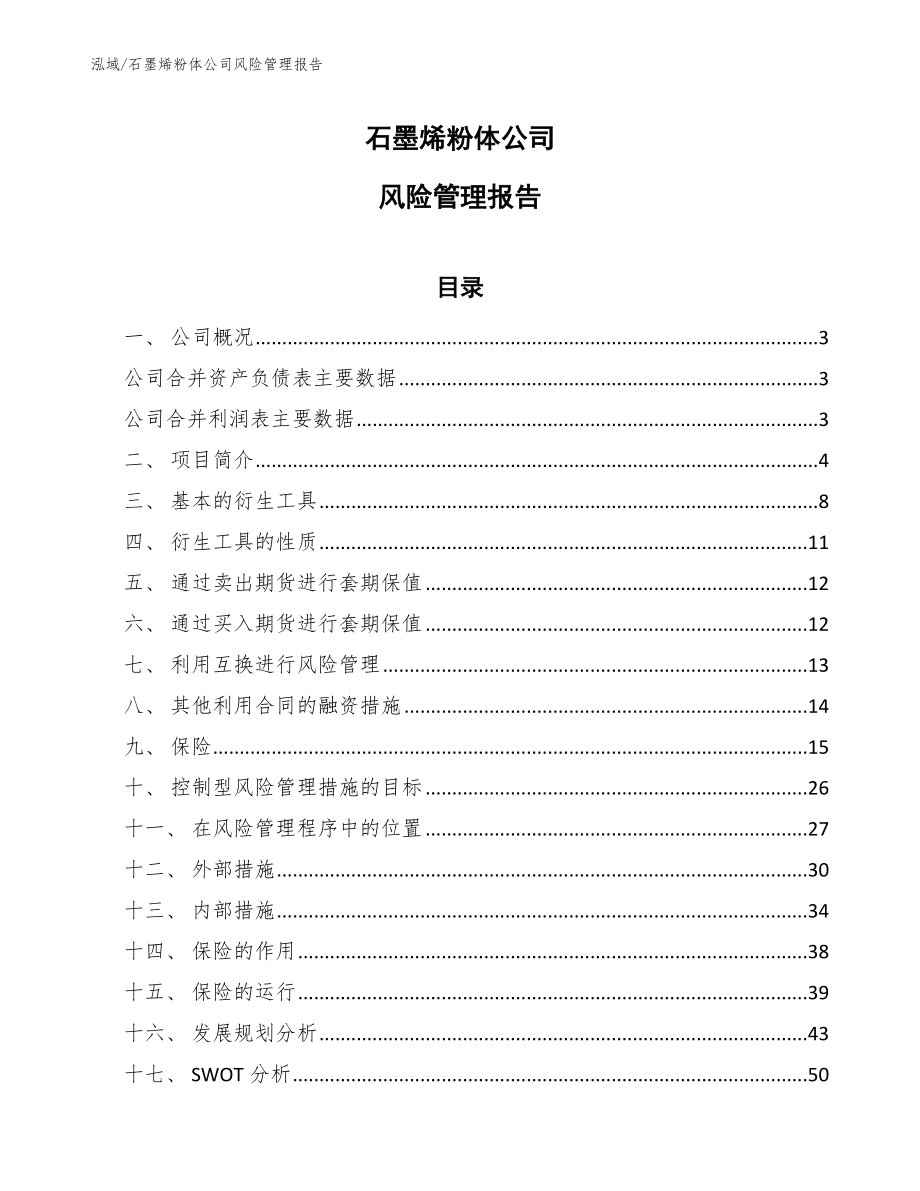 石墨烯粉体公司风险管理报告_参考_第1页