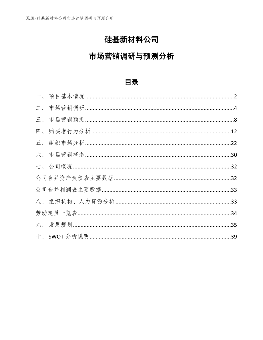 硅基新材料公司市场营销调研与预测分析_第1页