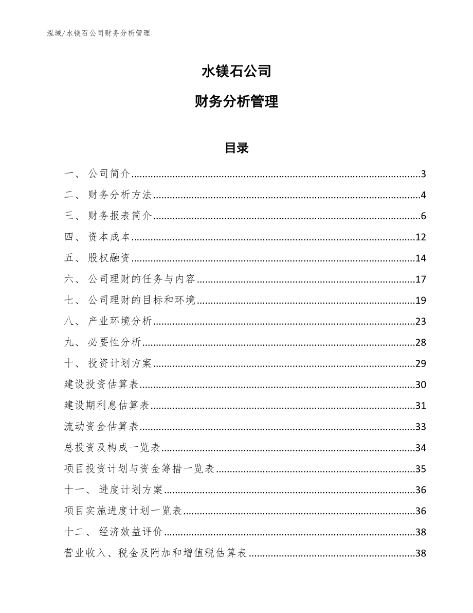 水镁石公司财务分析管理_参考_第1页