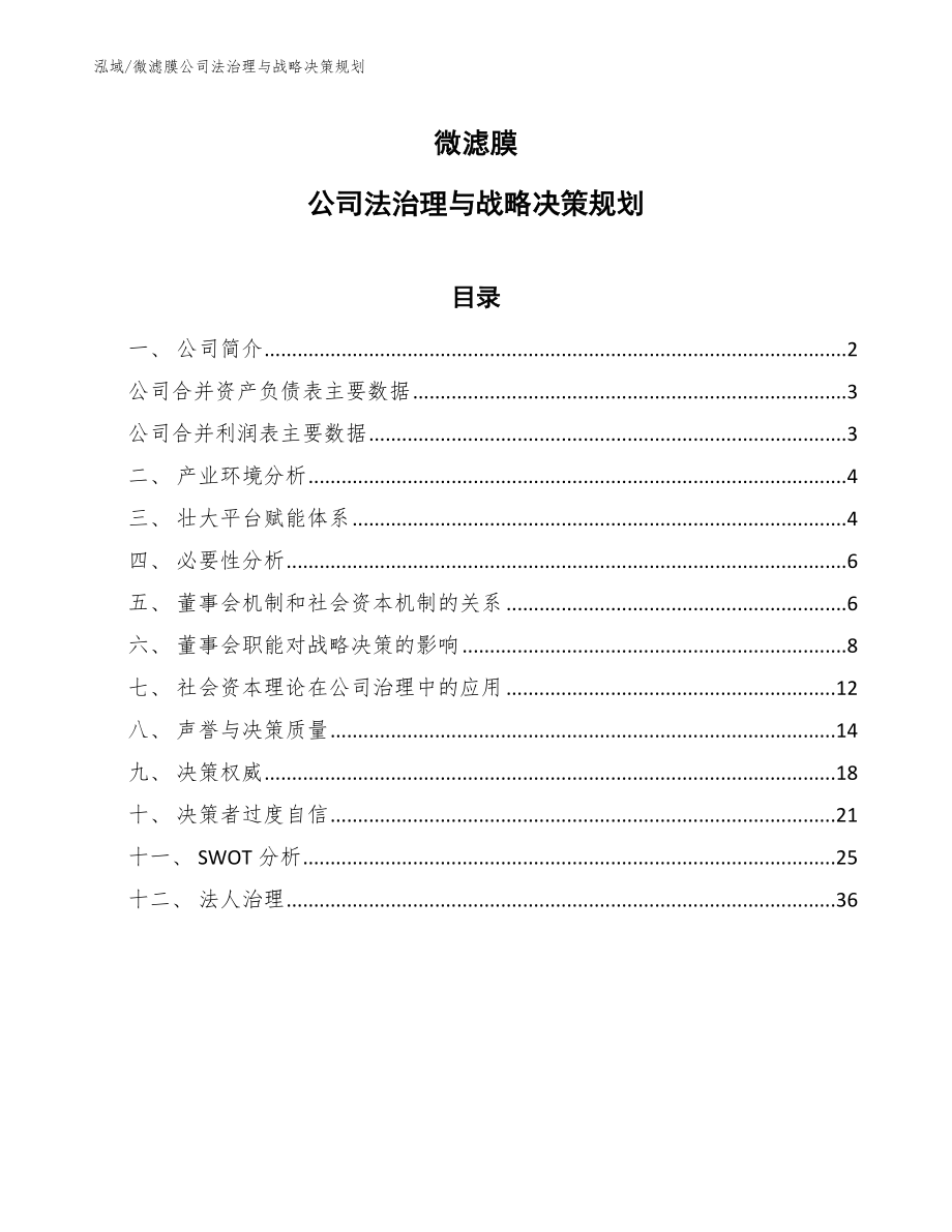 微滤膜公司法治理与战略决策规划_第1页