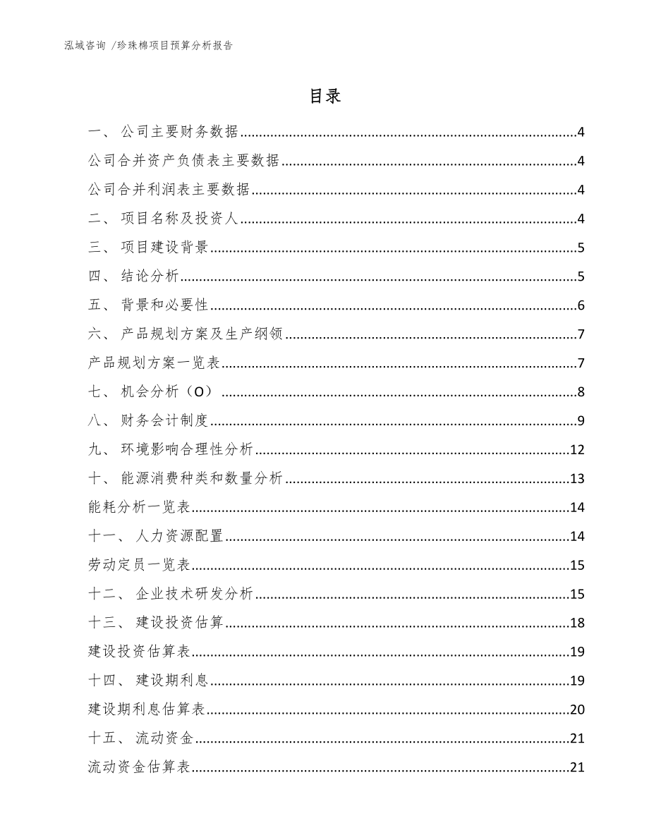 珍珠棉项目预算分析报告（参考范文）_第1页