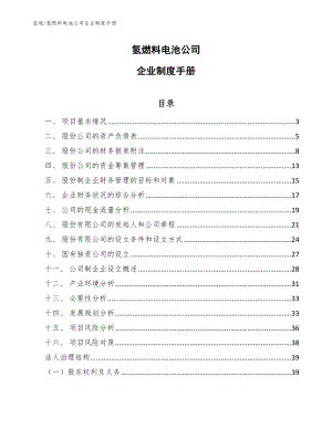 氢燃料电池公司企业制度手册