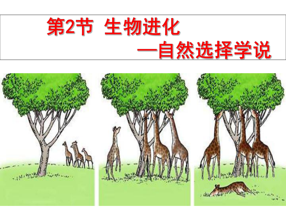 自然选择学说课件_第1页