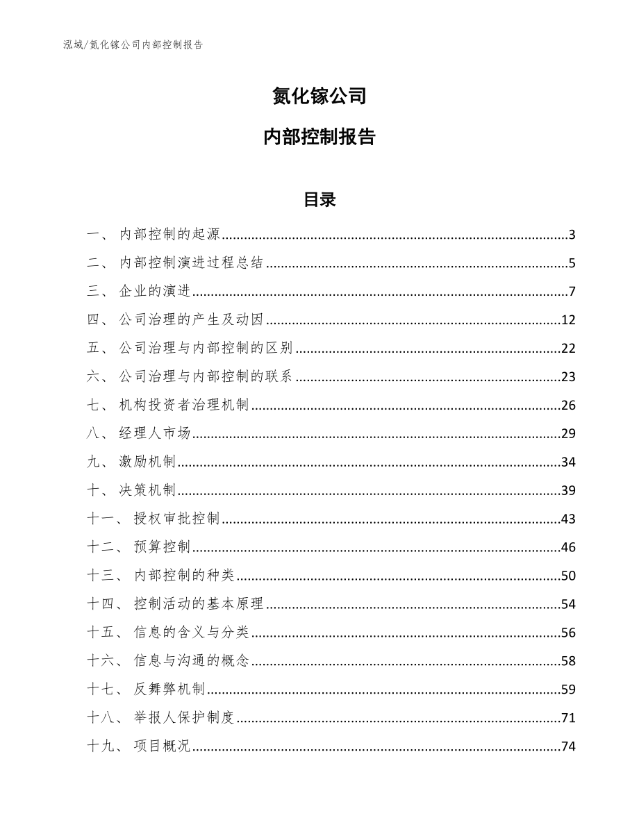 氮化镓公司内部控制报告_第1页