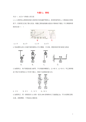 2020中考物理復(fù)習(xí) 考點歸類訓(xùn)練 專題七 滑輪試題