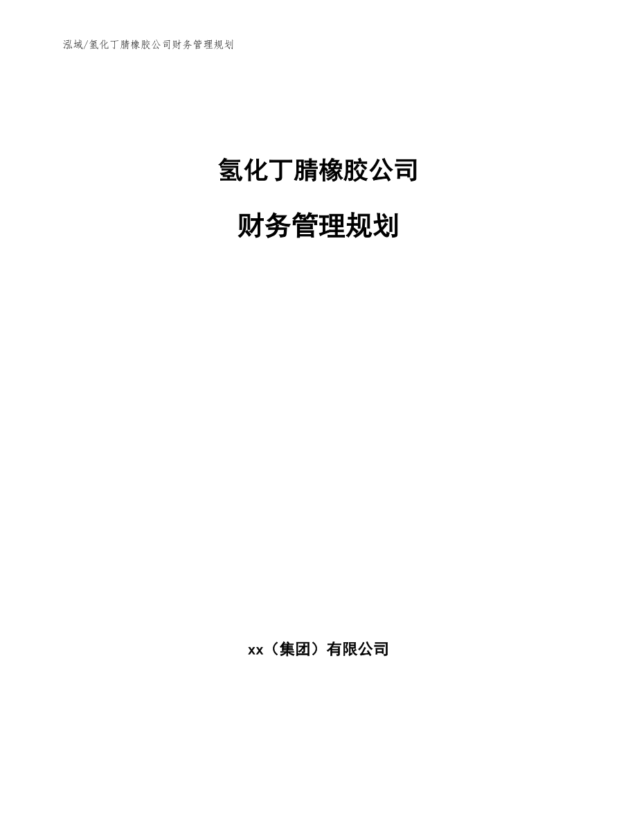 氢化丁腈橡胶公司财务管理规划_第1页