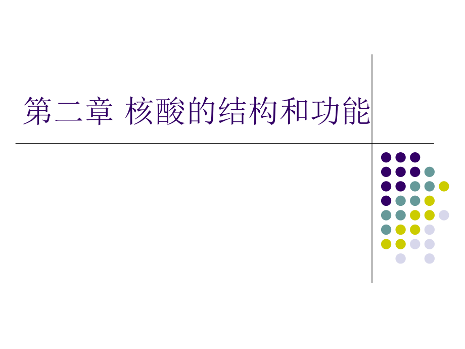 核酸的結構和功能最新課件