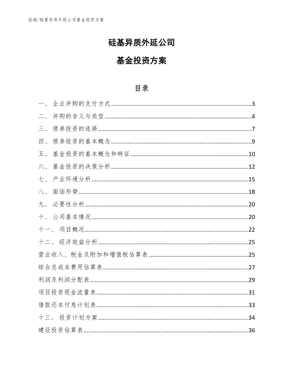 硅基异质外延公司基金投资方案（范文）_第1页