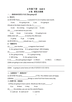 譯林版小學(xué)英語6B Unit5 考點(diǎn)精練