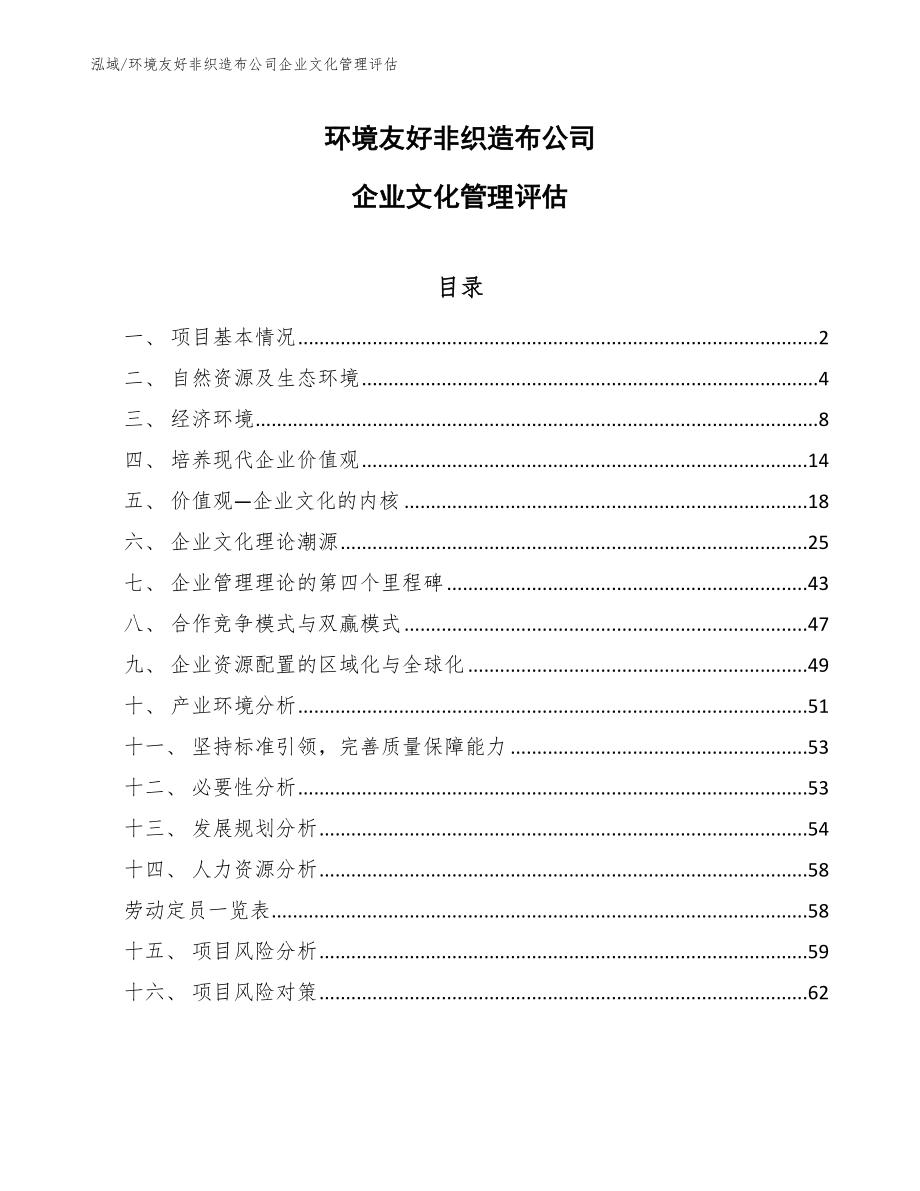 环境友好非织造布公司企业文化管理评估_第1页