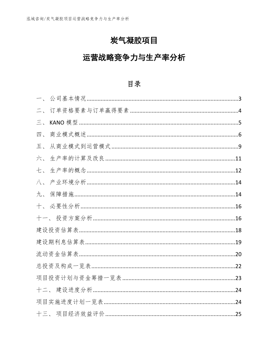 炭气凝胶项目运营战略竞争力与生产率分析_参考_第1页