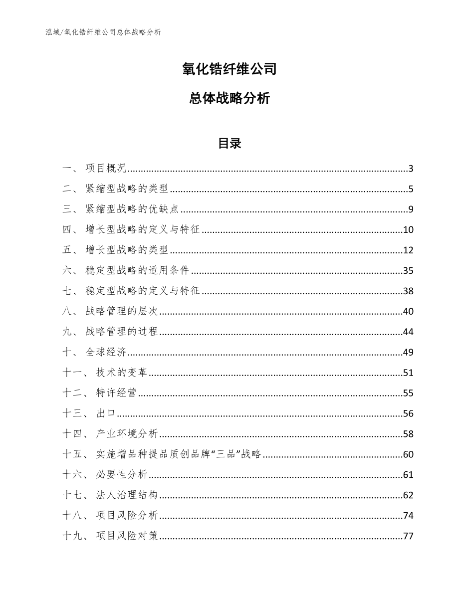 氧化锆纤维公司总体战略分析【参考】_第1页