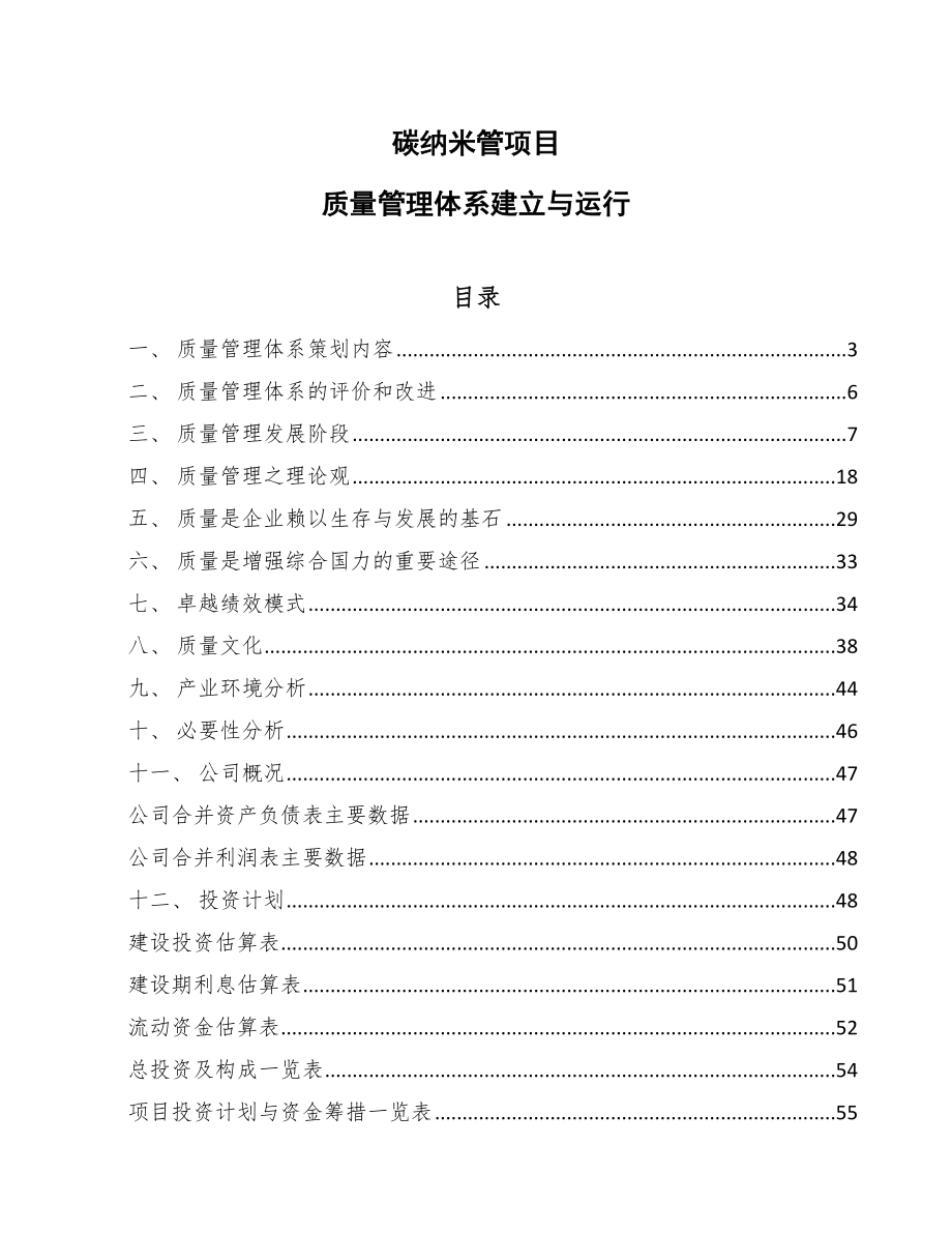 碳纳米管项目质量管理体系建立与运行（参考）_第1页