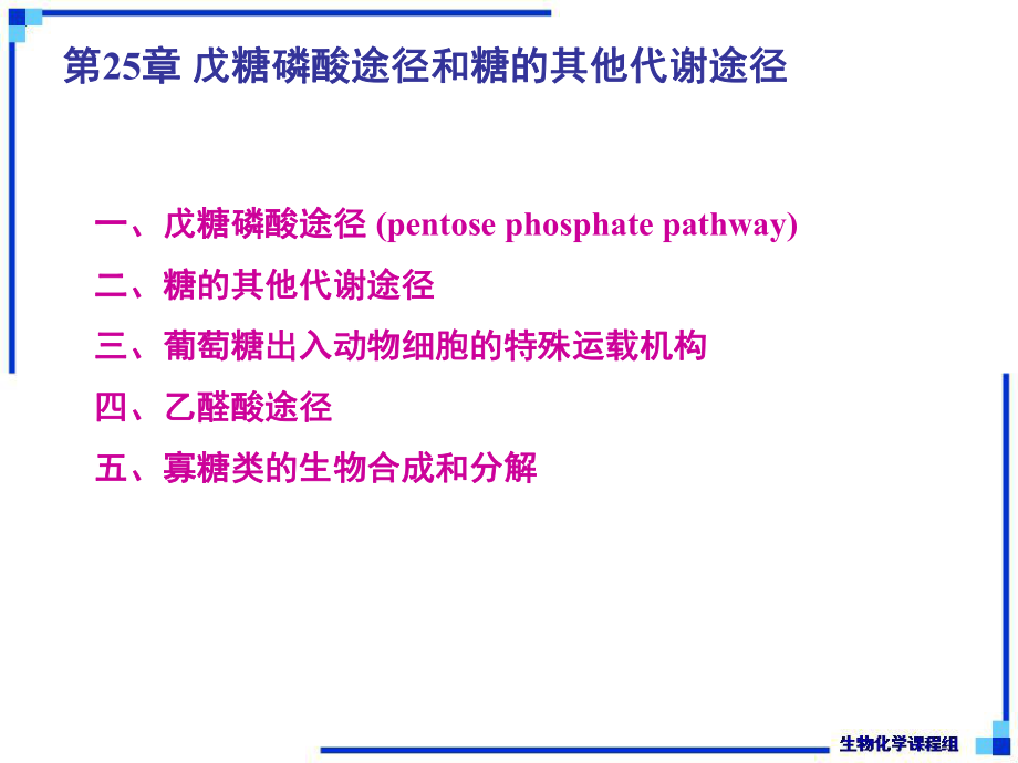 生物化学下第25章戊糖磷酸途径与糖的其他代谢途径ppt课件_第1页