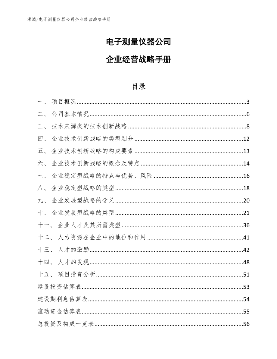 电子测量仪器公司企业经营战略手册【范文】_第1页