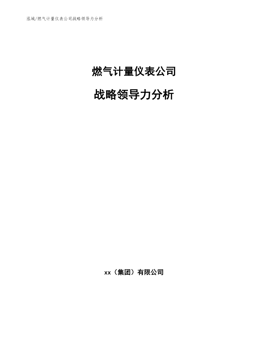 燃气计量仪表公司战略领导力分析_第1页