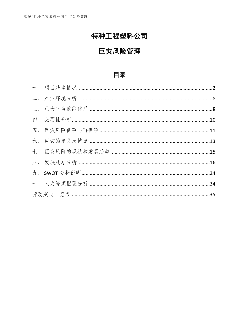 特种工程塑料公司巨灾风险管理（范文）_第1页