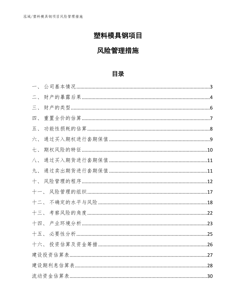 塑料模具钢项目风险管理措施（范文）_第1页