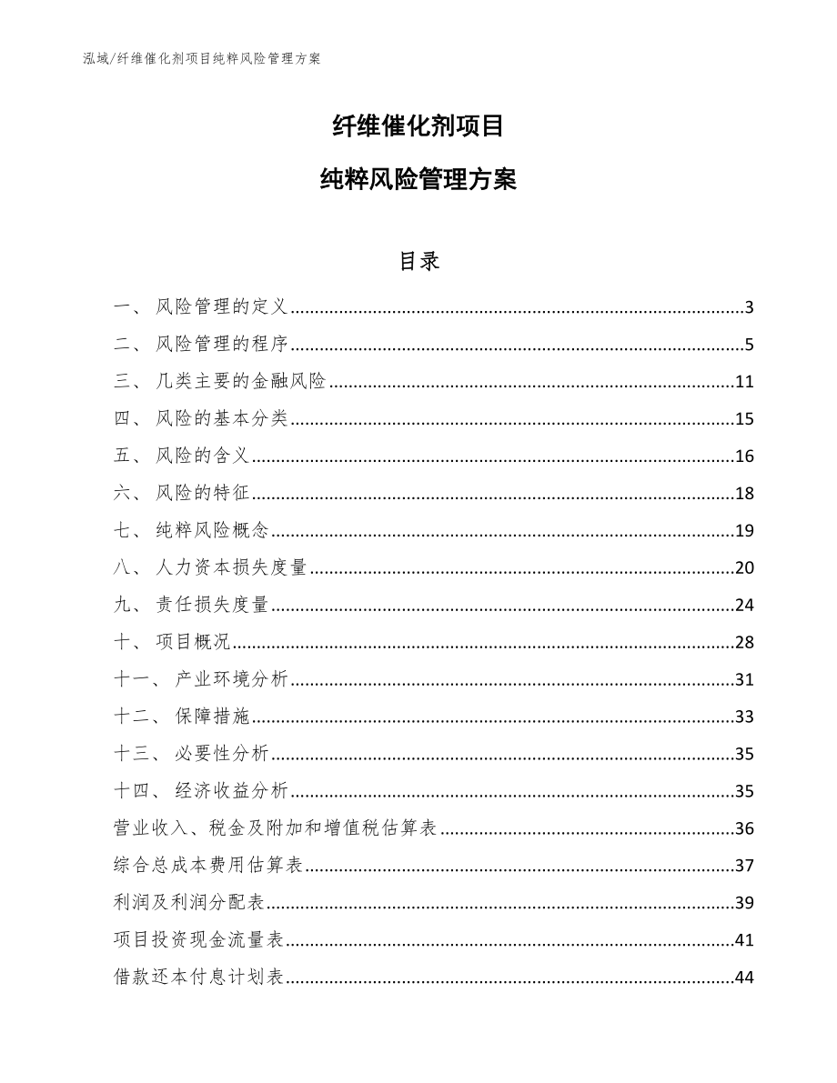 纤维催化剂项目纯粹风险管理方案_第1页