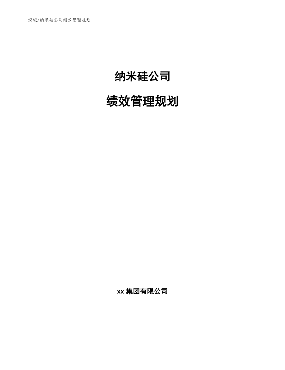 纳米硅公司绩效管理规划_第1页