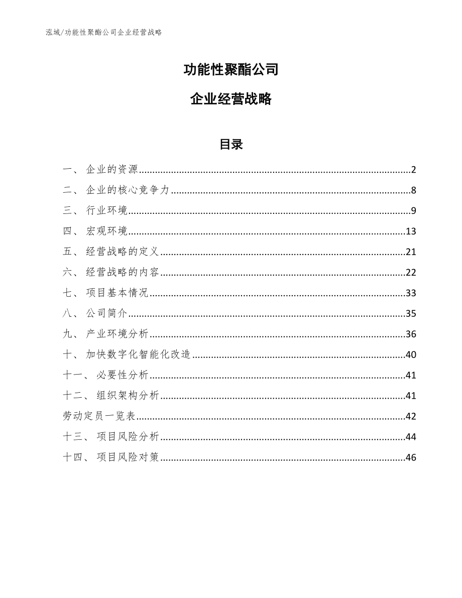 功能性聚酯公司企业财务分析【参考】 (13)_第1页