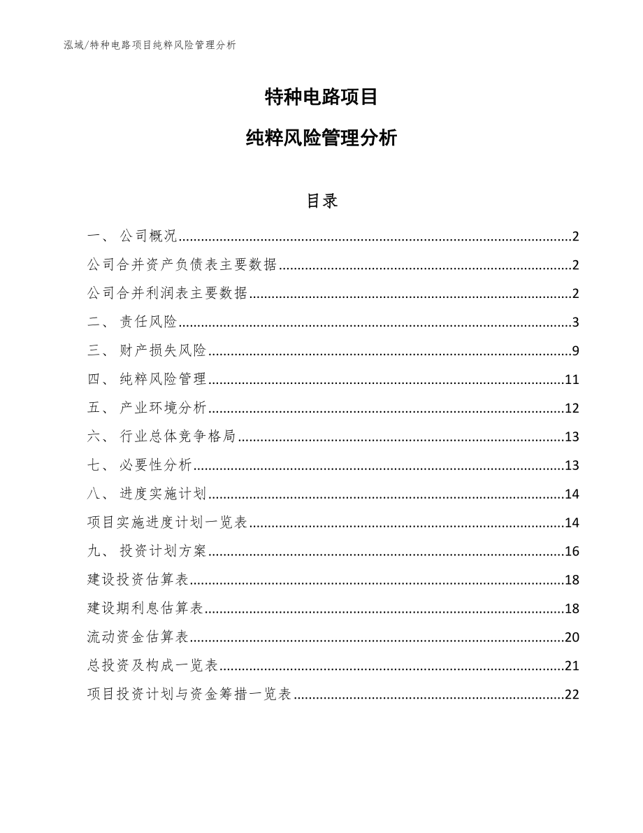 特种电路项目纯粹风险管理分析_第1页