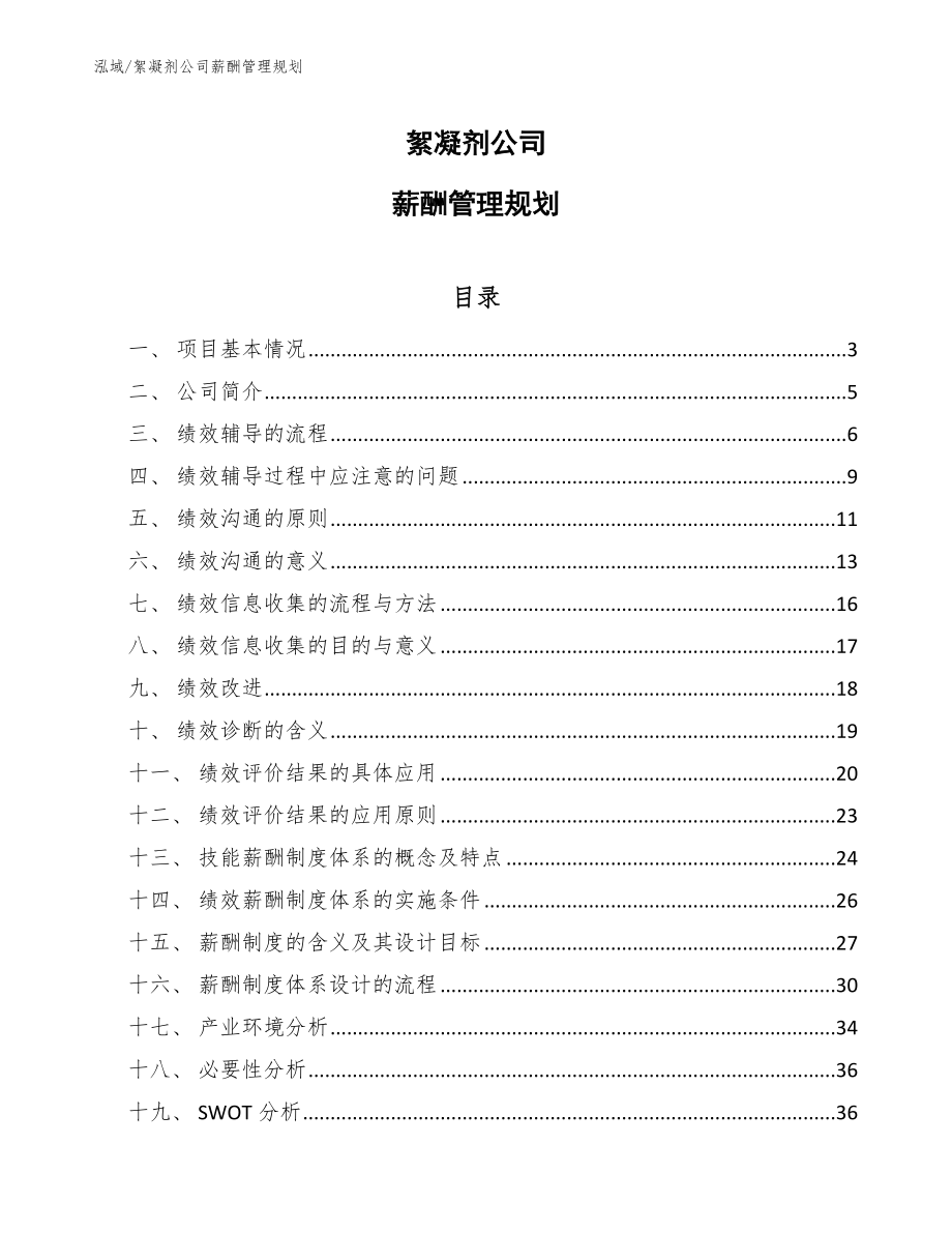 絮凝剂公司薪酬管理规划【范文】_第1页