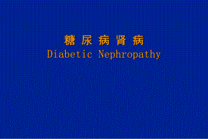 糖尿病肾病DiabeticNephropathy