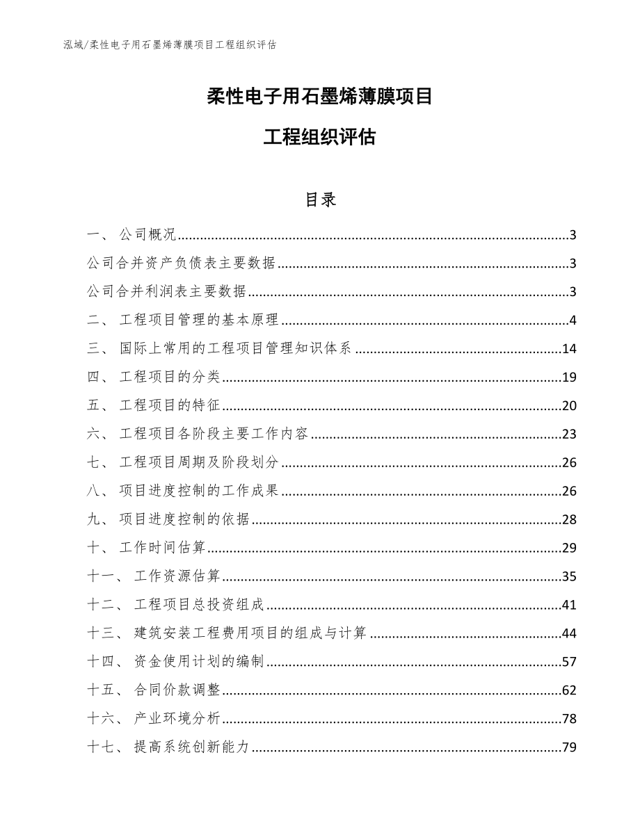 柔性电子用石墨烯薄膜项目工程组织评估【参考】_第1页