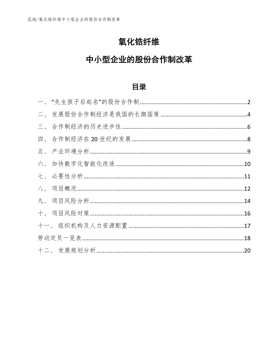 氧化锆纤维中小型企业的股份合作制改革_第1页