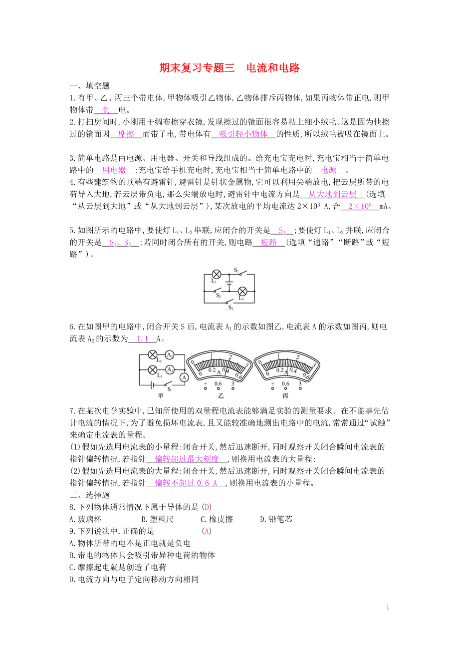 九年级物理全册 期末复习专题三 电流和电路练习 （新版）新人教版_第1页