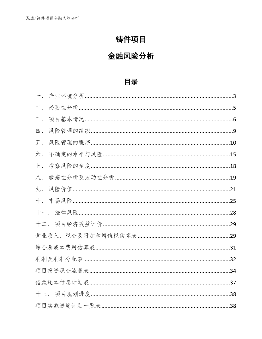 铸件项目金融风险分析（范文）_第1页