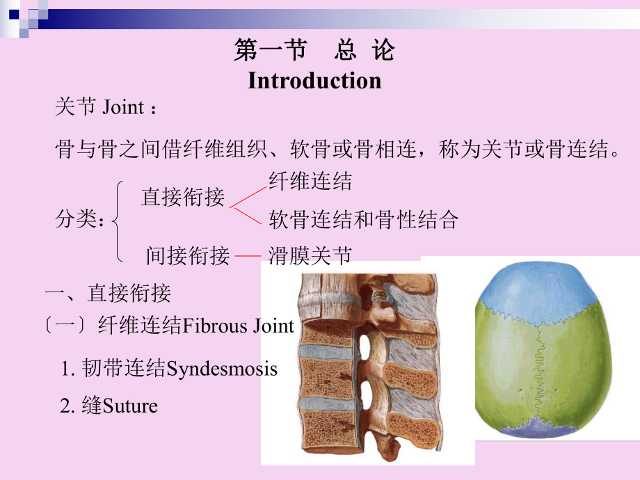 关节学ppt课件_第1页