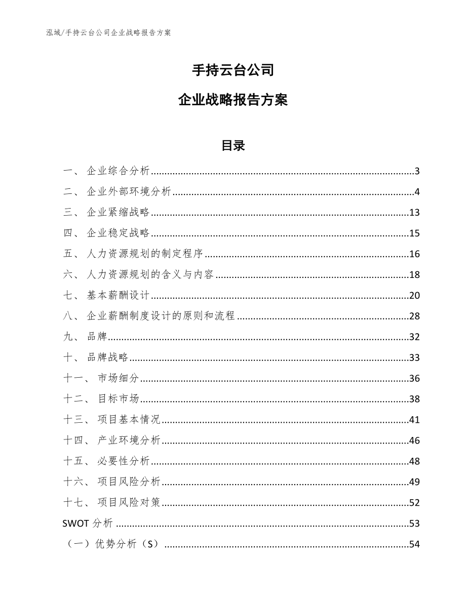 手持云台公司企业战略报告方案（参考）_第1页