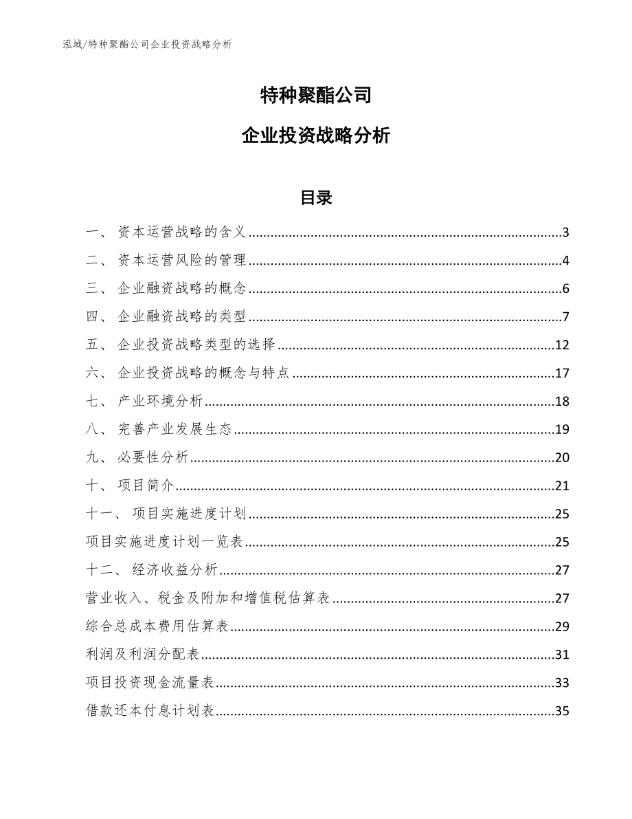 特种聚酯公司企业投资战略分析（范文）_第1页