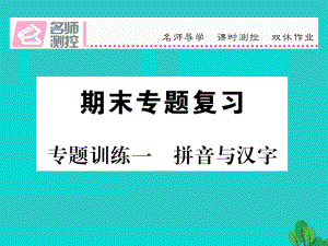 最新八年级语文上册专题训练一拼音与汉字课件语文版语文版初中八年级上册语文课件