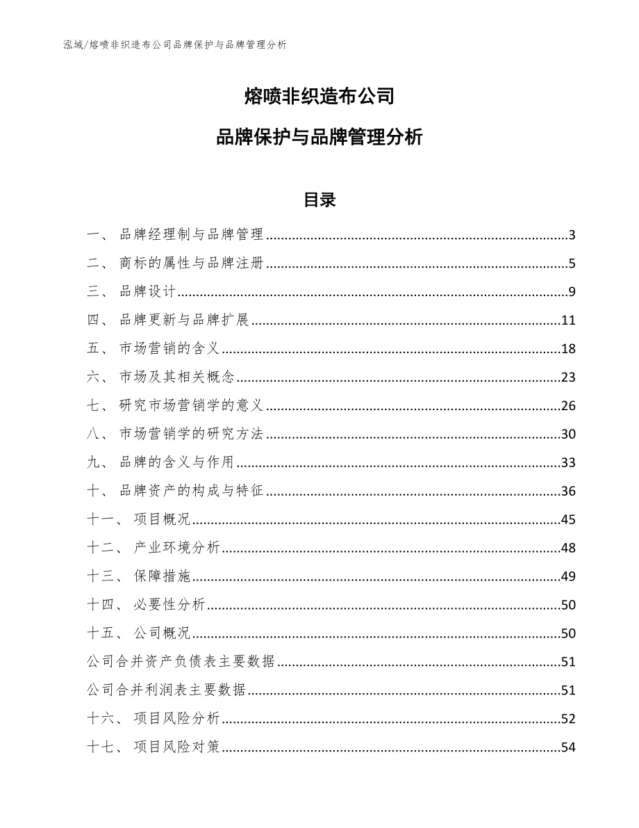 熔喷非织造布公司品牌保护与品牌管理分析（范文）_第1页