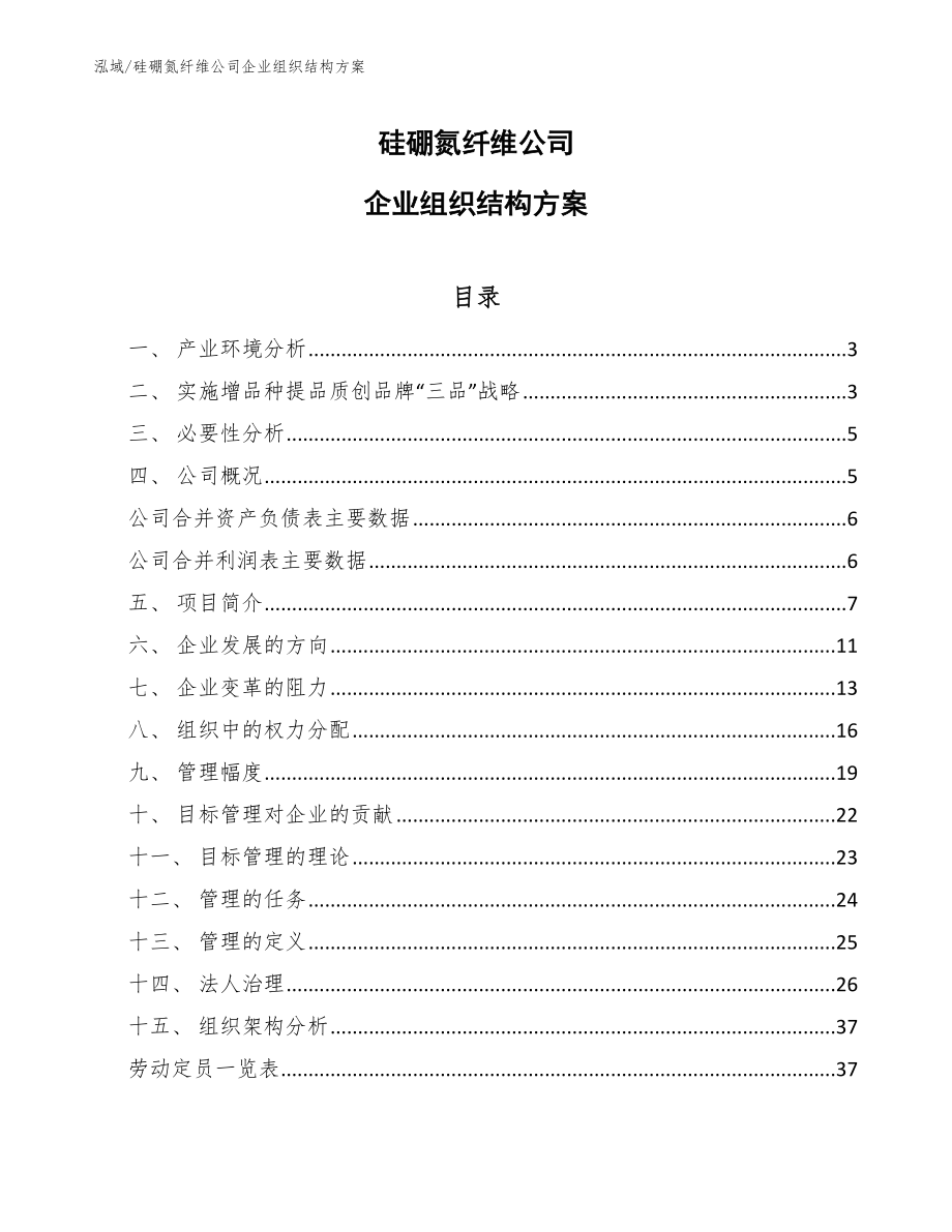 硅硼氮纤维公司企业组织结构方案_参考_第1页