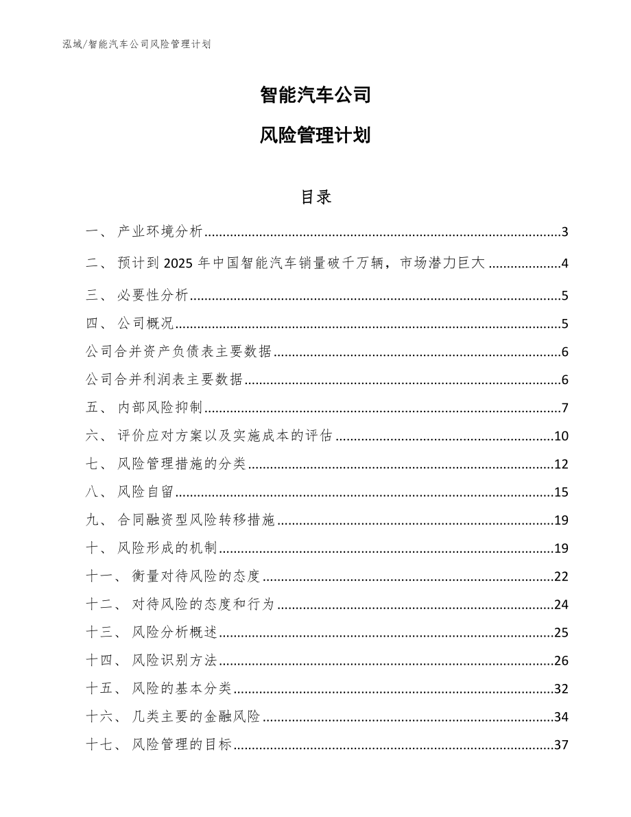 智能汽车公司风险管理计划【参考】_第1页