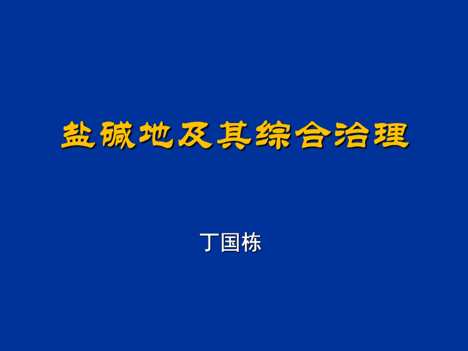 盐碱地及其综合治理_第1页